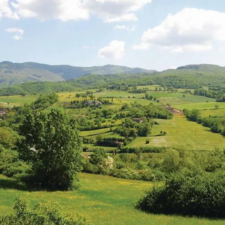 Baciola